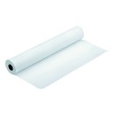 Epson 1118/25/Presentation Matte Paper Roll, matný, 44